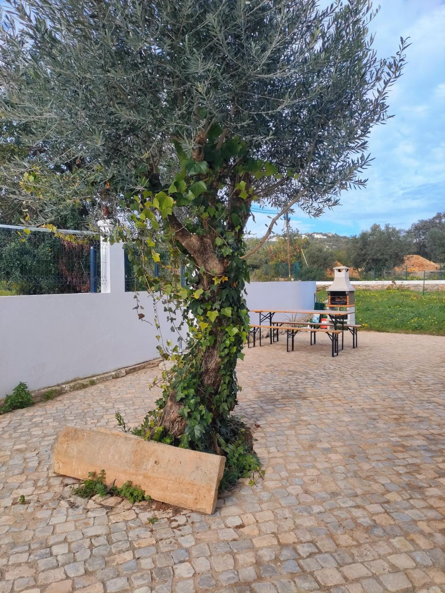 Villa Casa Do Bele à District de District de Faro Extérieur photo